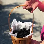 La Casella Antico Feudo Di Campagna * Ficulle