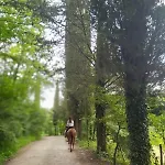 La Casella Antico Feudo Di Campagna Casa de Campo Ficulle