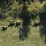 La Casella Antico Feudo Di Campagna Ficulle