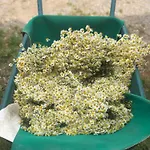 La Casella Antico Feudo Di Campagna Casa de Campo Ficulle