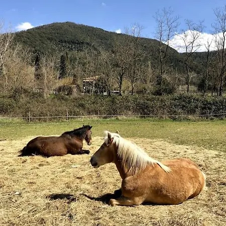 La Casella Antico Feudo Di Campagna *
