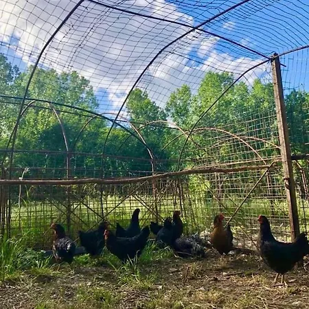 La Casella Antico Feudo Di Campagna Ficulle