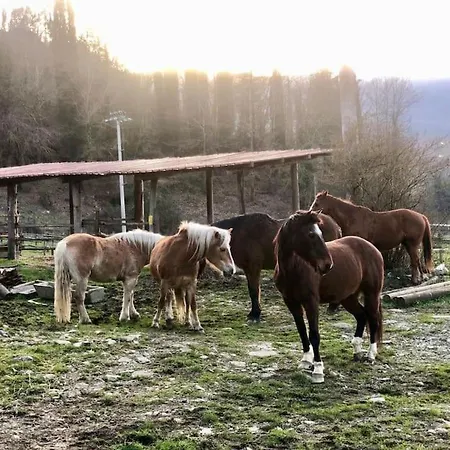 Séjour à la campagne La Casella Antico Feudo Di Campagna