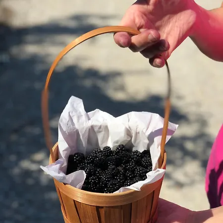La Casella Antico Feudo Di Campagna * Ficulle