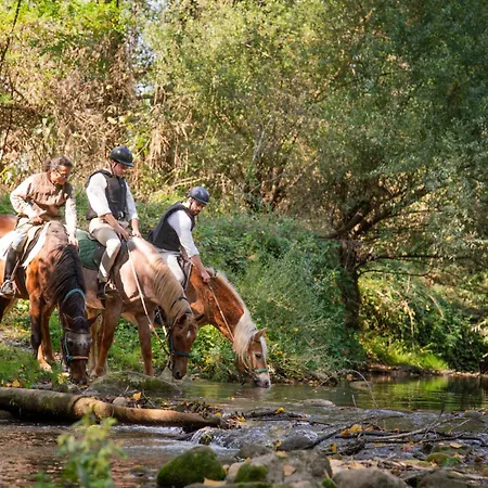 Séjour à la campagne La Casella Antico Feudo Di Campagna Ficulle