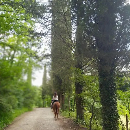 La Casella Antico Feudo Di Campagna Séjour à la campagne Ficulle