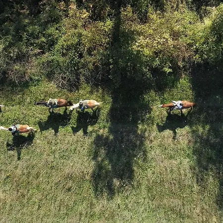 La Casella Antico Feudo Di Campagna 피쿨레