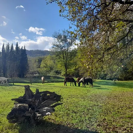 La Casella Antico Feudo Di Campagna Séjour à la campagne Ficulle