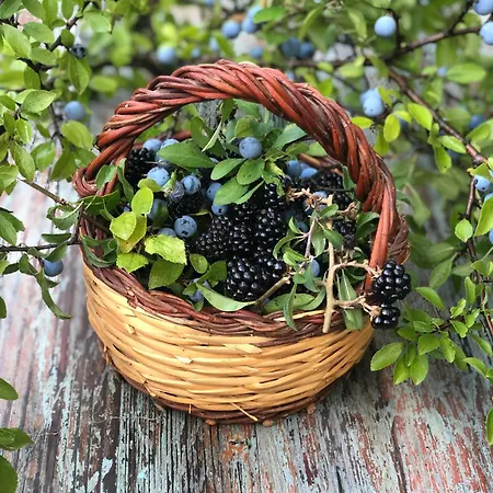 La Casella Antico Feudo Di Campagna