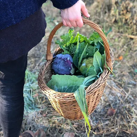 La Casella Antico Feudo Di Campagna Séjour à la campagne *