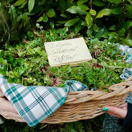Séjour à la campagne La Casella Antico Feudo Di Campagna