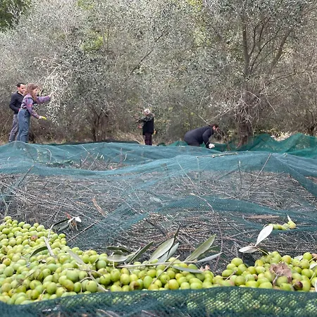 La Casella Antico Feudo Di Campagna 乡村民宿