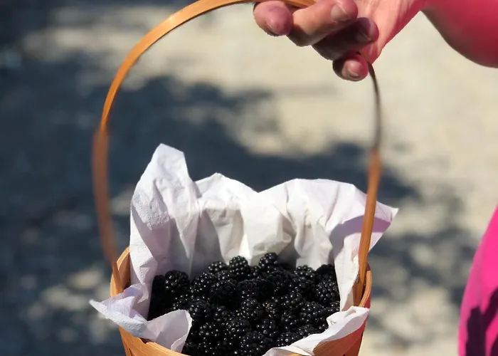 La Casella Antico Feudo Di Campagna * Ficulle