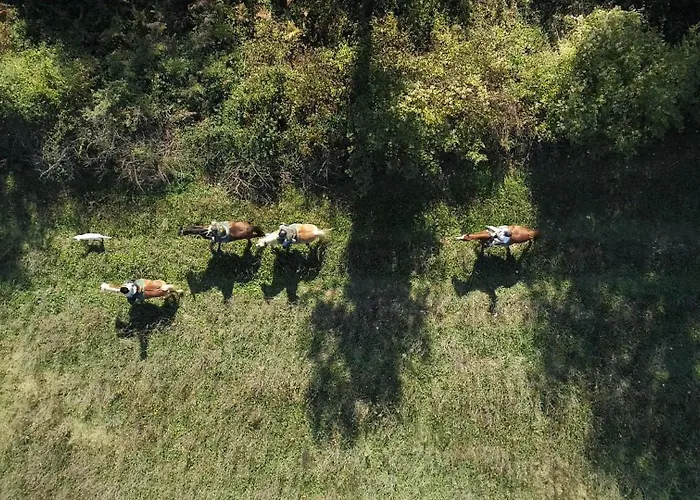 La Casella Antico Feudo Di Campagna Ficulle