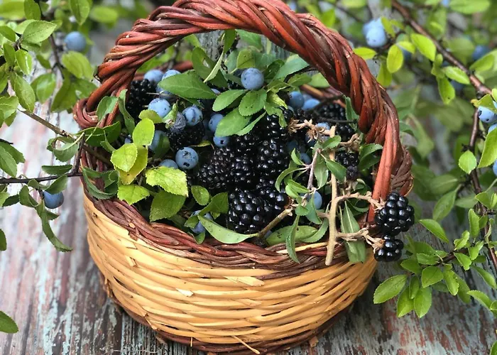 La Casella Antico Feudo Di Campagna