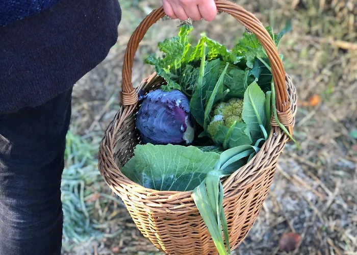 La Casella Antico Feudo Di Campagna Venkovský dům *