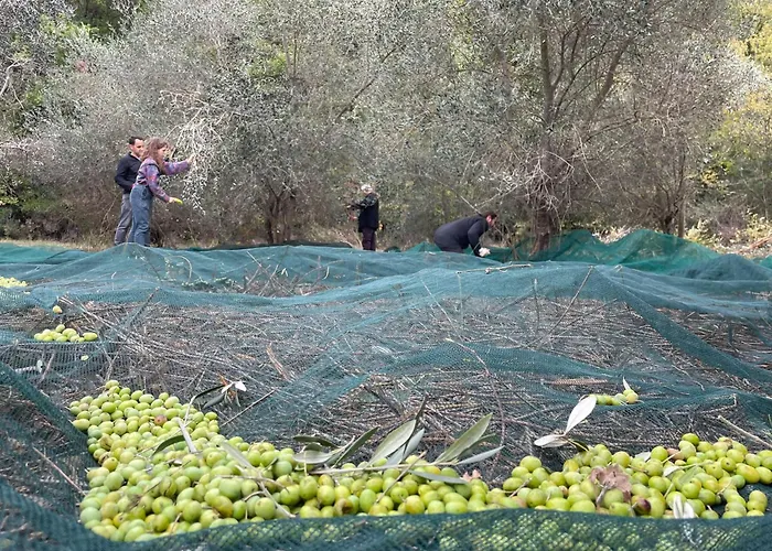 La Casella Antico Feudo Di Campagna 乡村民宿