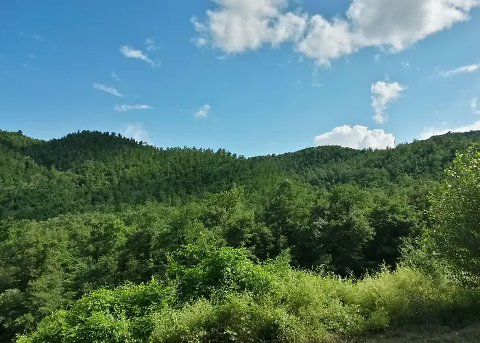 La Casella Antico Feudo Di Campagna *